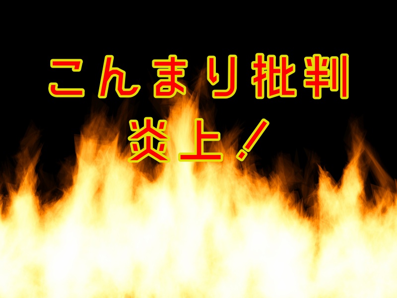 こんまり批判・バーバラ・エーレンライク